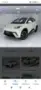 BYD Dolphin Mini - Miniatura 2