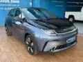 BYD Dolphin Plus - Miniatura 4