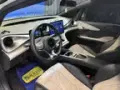 BYD Dolphin - Miniatura 9
