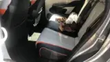 BYD Dolphin - Miniatura 7