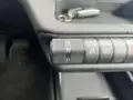 BYD Dolphin Plus - Miniatura 11