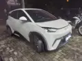 BYD Dolphin Mini - Miniatura 3