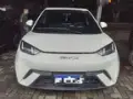 BYD Dolphin Mini - Miniatura 2