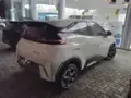 BYD Dolphin Mini - Miniatura 7