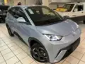 BYD Dolphin Mini - Miniatura 2