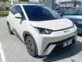 BYD Dolphin Mini - Miniatura 1
