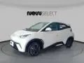BYD Dolphin Mini - Miniatura 1