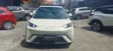 BYD Dolphin Mini - Miniatura 1