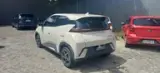BYD Dolphin Mini - Miniatura 4