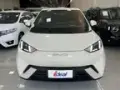 BYD Dolphin Mini - Miniatura 1