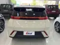 BYD Dolphin Mini - Miniatura 4