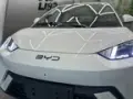 BYD Dolphin Mini - Miniatura 2
