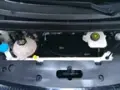 BYD Dolphin - Miniatura 15