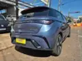 BYD Dolphin Plus - Miniatura 2