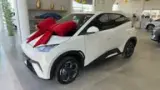 BYD Dolphin Mini - Miniatura 1