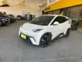 BYD Dolphin Mini - Miniatura 1