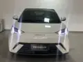BYD Dolphin Mini - Miniatura 2