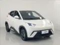 BYD Dolphin Mini - Miniatura 3