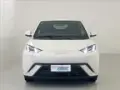 BYD Dolphin Mini - Miniatura 4