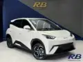 BYD Dolphin Mini - Miniatura 9