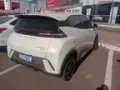 BYD Dolphin Mini - Miniatura 3