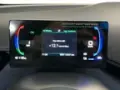 BYD Dolphin Mini - Miniatura 1