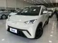 BYD Dolphin Mini - Miniatura 1
