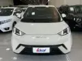BYD Dolphin Mini - Miniatura 2