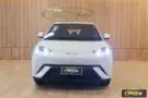 BYD Dolphin Mini - Miniatura 2