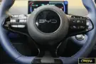 BYD Dolphin Mini - Miniatura 12