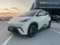 BYD Dolphin Mini - Miniatura 2