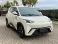 BYD Dolphin Mini - Miniatura 5