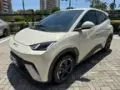 BYD Dolphin - Miniatura 1