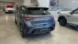 BYD Dolphin Plus - Miniatura 9