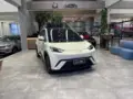 BYD Dolphin - Miniatura 1