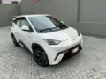 BYD Dolphin Mini - Miniatura 1
