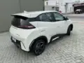 BYD Dolphin Mini - Miniatura 13