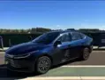 BYD King - Miniatura 2