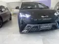BYD Dolphin Mini - Miniatura 20