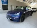 Tesla Model Y - Miniatura 1