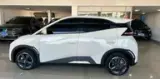 BYD Dolphin Mini - Miniatura 1