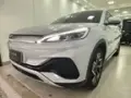 BYD Yuan Plus - Miniatura 2