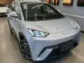 BYD Dolphin Mini - Miniatura 1
