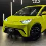 BYD Dolphin Mini - Miniatura 2