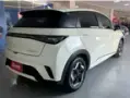 BYD Dolphin - Miniatura 5