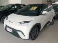 BYD Dolphin Mini - Miniatura 1