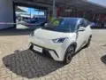 BYD Dolphin Mini - Miniatura 1