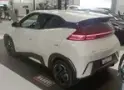 BYD Dolphin Mini - Miniatura 4