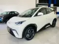 BYD Dolphin - Miniatura 1