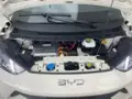 BYD Dolphin Mini - Miniatura 8
